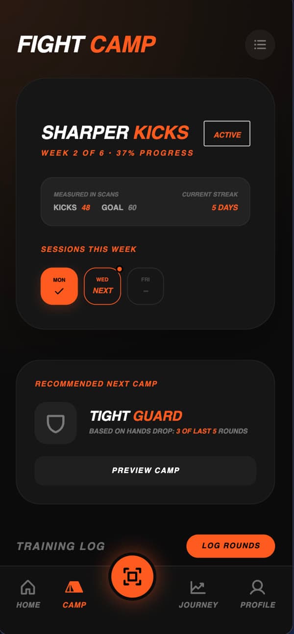 Fight Camp: Sharper Kicks, week 2 of 6, 37% progress